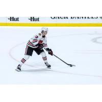 Rockford IceHogs left winger Lukas Reichel