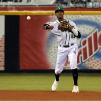 Infielder Alfredo Reyes