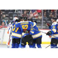 Tucson Roadrunners celebrate a goal