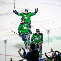 Maine Mariners exhort the crowd