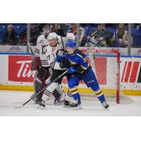 Red Deer Rebels' Mats Lindgren versus Saskatoon Blades' William James