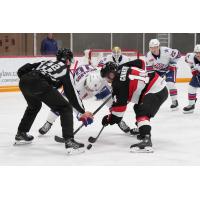 Rochester Americans' Justin Richards versus Belleville Senators' Rourke Chartier