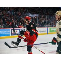 Grand Rapids Griffins' 	Carter Mazur on game night