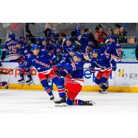 Kitchener Rangers celebrate win