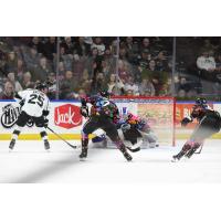 Utah Grizzlies' Cole Gallant and Idaho Steelheads' Trevor Zins in action