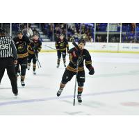 Vancouver Giants' Samuel Honzek on game night