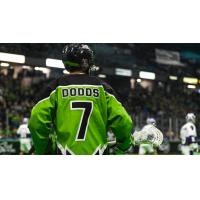 Saskatchewan Rush's Patrick Dodds