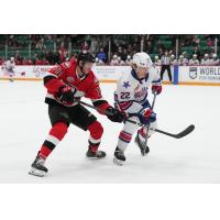 Belleville Senators' Kyle Betts versus Rochester Americans' Zach Metsa