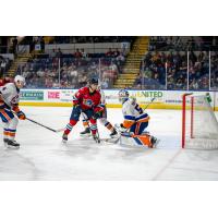 Springfield Thunderbirds forward Ryan Suzuki in front of the Bridgeport Islanders' goal