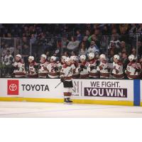 Tucson Roadrunners right wing Austin Poganski along the bench