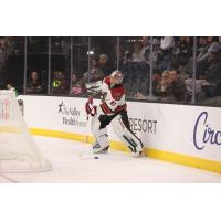 Tucson Roadrunners goaltender Matthew Villalta