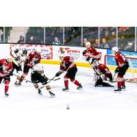 Red Deer Rebels battle the Calgary Hitmen