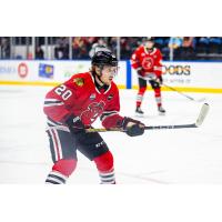 Rockford IceHogs center Rem Pitlick