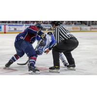 Wichita Thunder face off with the Tulsa Oilers