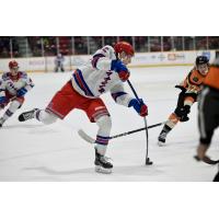 Kitchener Rangers' Eduard Sale battles Owen Sound Attack's Sam McCue