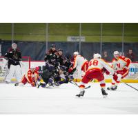 Tucson Roadrunners Battle the Calgary Wranglers