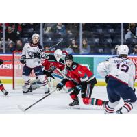 Kelowna Rockets' Caden Price in action