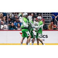 Saskatchewan Rush on the field