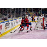 Springfield Thunderbirds' Austin Osmanski battles Bridgeport Islanders' Aidan Fulp