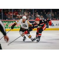 Chicago Wolves' Ryan Wagner versus Grand Rapids Griffins' Tim Gettinger