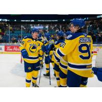 Saskatoon Blades celebrate win