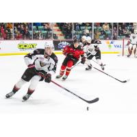 Vancouver Giants' Samuel Honzek in action