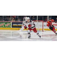 Grand Rapids Griffins right wing Jonatan Berggren