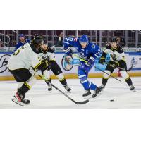 Wichita Thunder forward Brayden Watts vs. the Iowa Heartlanders