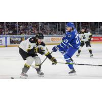 Wichita Thunder forward Brayden Watts strikes a blow against the Iowa Heartlanders