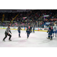 Springfield Thunderbirds on the ice