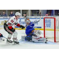 Guelph Storm's Vilmer Alriksson battles Saginaw Spirit's Andrew Oke