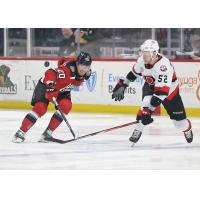 Utica Comets' Max Willman and Belleville Senators' Nikolas Matinpalo in action