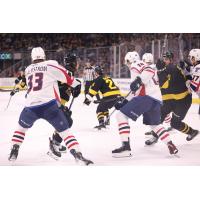 Springfield Thunderbirds defend against the Providence Bruins