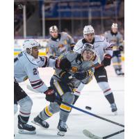 Erie Otters right wing Dylan Edwards