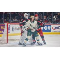 Grand Rapids Griffins defend against the Iowa Wild