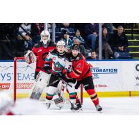 Kelowna Rockets centre Gabriel Szturc vs. the Prince George Cougars