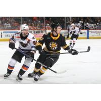 Lehigh Valley Phantoms vs. the Providence Bruins