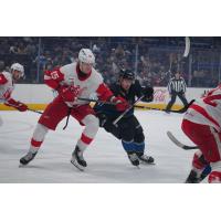 Grand Rapids Griffins' Elmer Soderblom iversus cleveland Monsters' James Malatesta