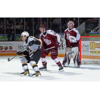 Peterborough Petes goaltender goaltender Liam Sztuska and defenseman Carson Cameron vs. the Kingston Frontenacs