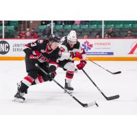 Belleville Senators left wing Cole Reinhardt