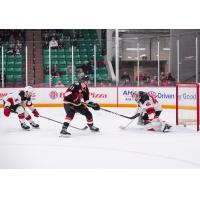 Belleville Senators centre Kyle Betts scores against the Utica Comets