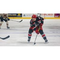 Grand Rapids Griffins center Austin Czarnik