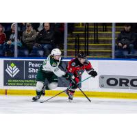 Everett Silvertips' Caden Brown battles Kelowna Rockets' Marek Rocak