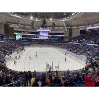 A school day crowd watches the Fayetteville Marksmen