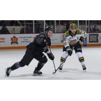 Peterborough Petes' Dalyn Wakely versus North Bay Battalion's Dalyn Wakely