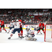 Springfield Thunderbirds goaltender Magnus Hellberg smothers a Charlotte Checkers shot