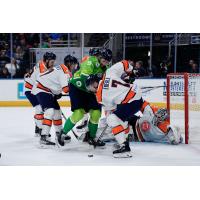 Greenville Swamp Rabbits goaltender Jacob Ingham and his defense vs. the Jacksonville Icemen