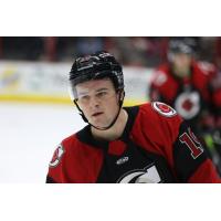 Brandon Puricelli with the Cincinnati Cyclones