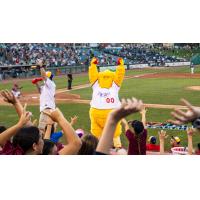 Jersey Shore BlueClaws Mascot Buster exhorts the crowd