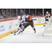 Springfield Thunderbirds' Adam Gaudette in action